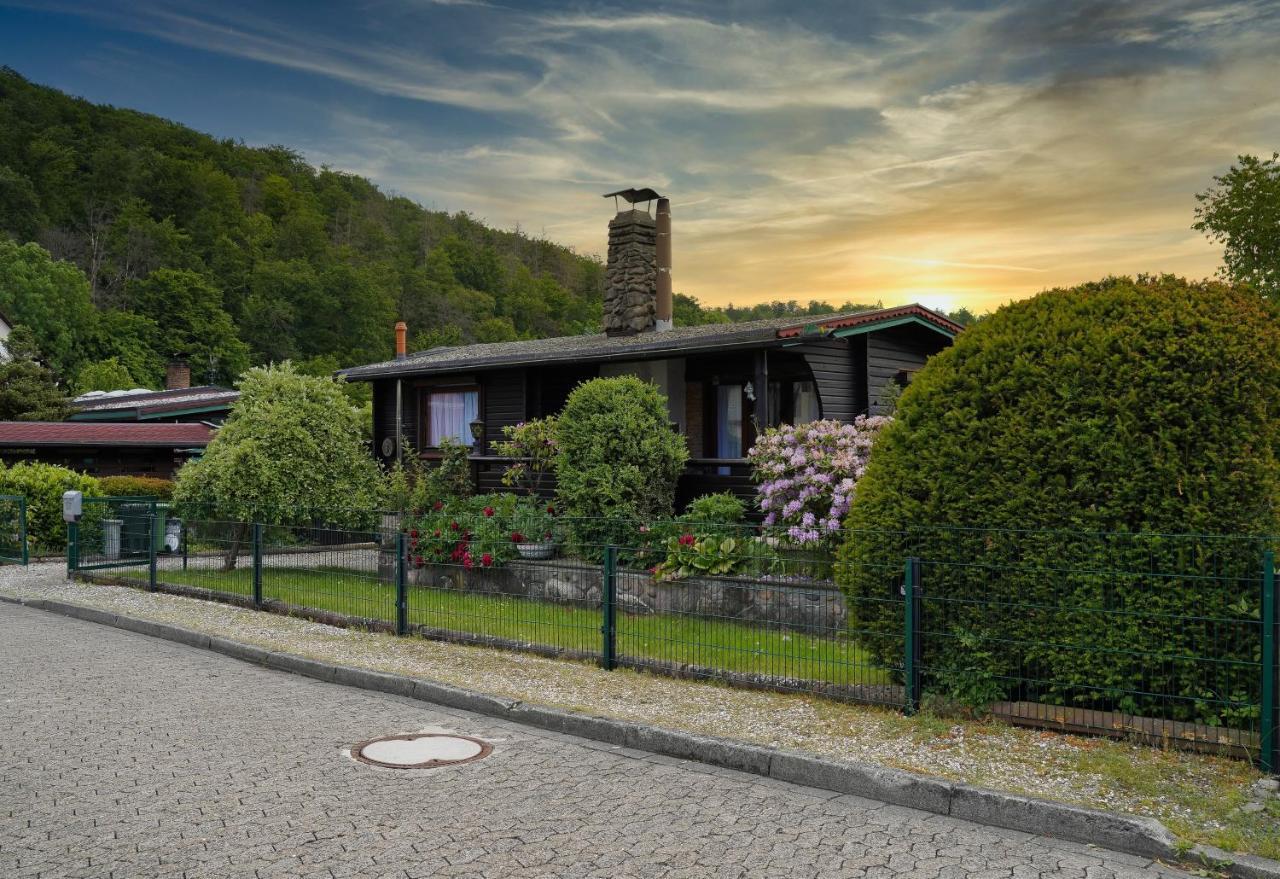 Ferienblockhaus Harzidyll Apartment Wieda Bagian luar foto