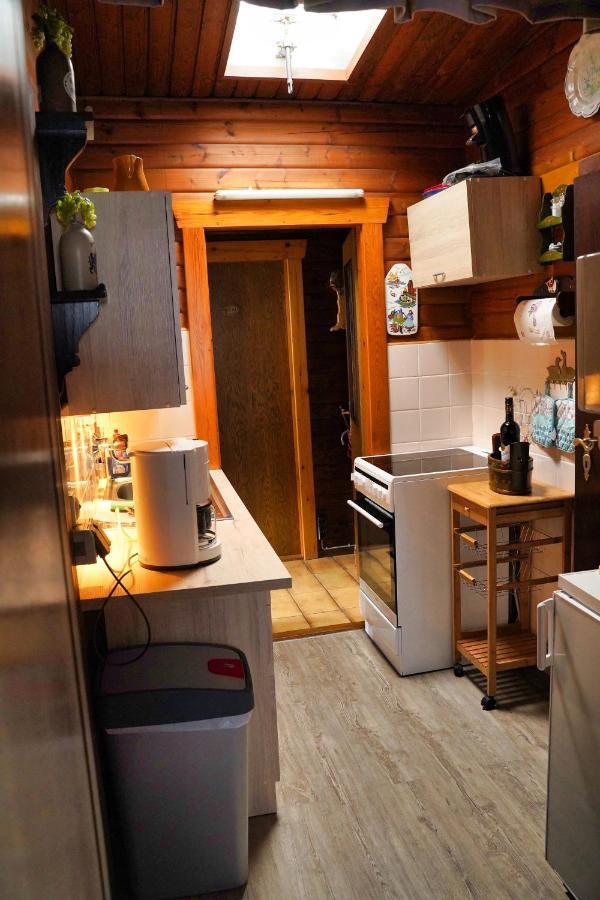 Ferienblockhaus Harzidyll Apartment Wieda Bagian luar foto