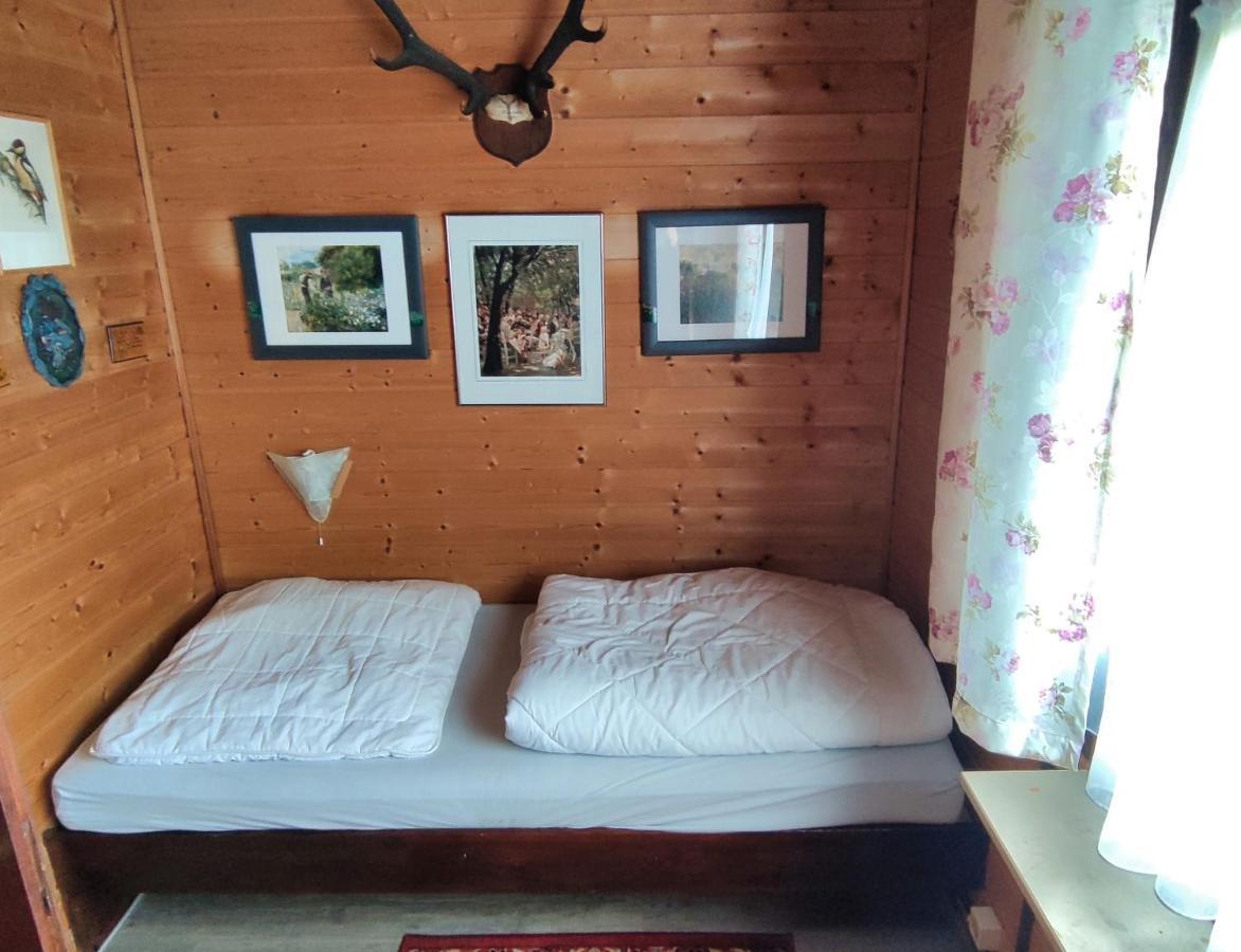 Ferienblockhaus Harzidyll Apartment Wieda Bagian luar foto