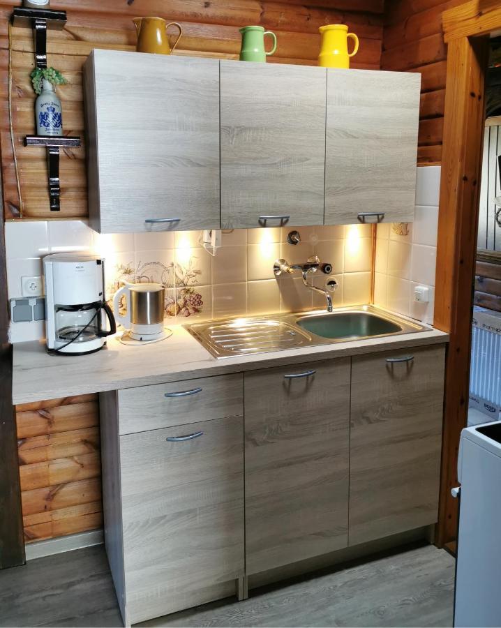 Ferienblockhaus Harzidyll Apartment Wieda Bagian luar foto