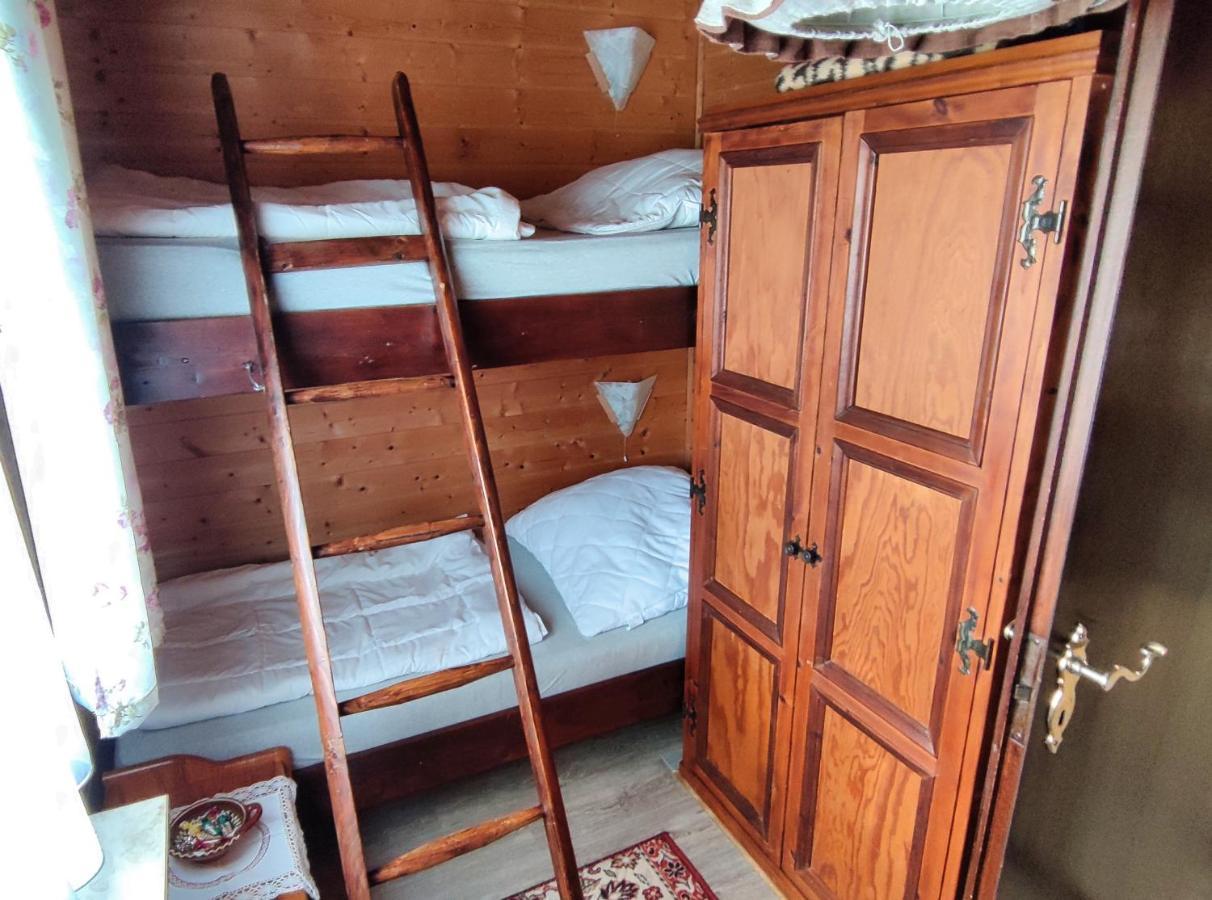 Ferienblockhaus Harzidyll Apartment Wieda Bagian luar foto